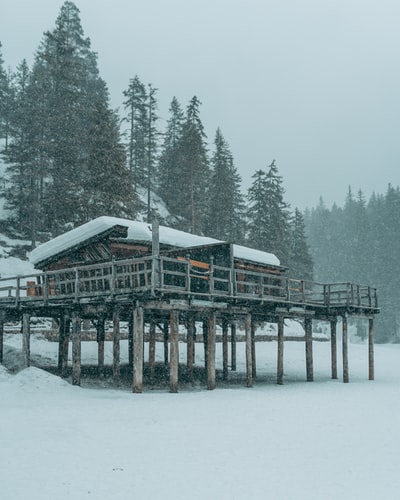 雪地上的棕色木屋